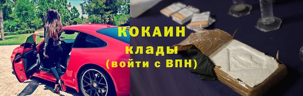 дживик Липки